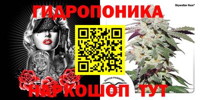 мдма Заводоуковск