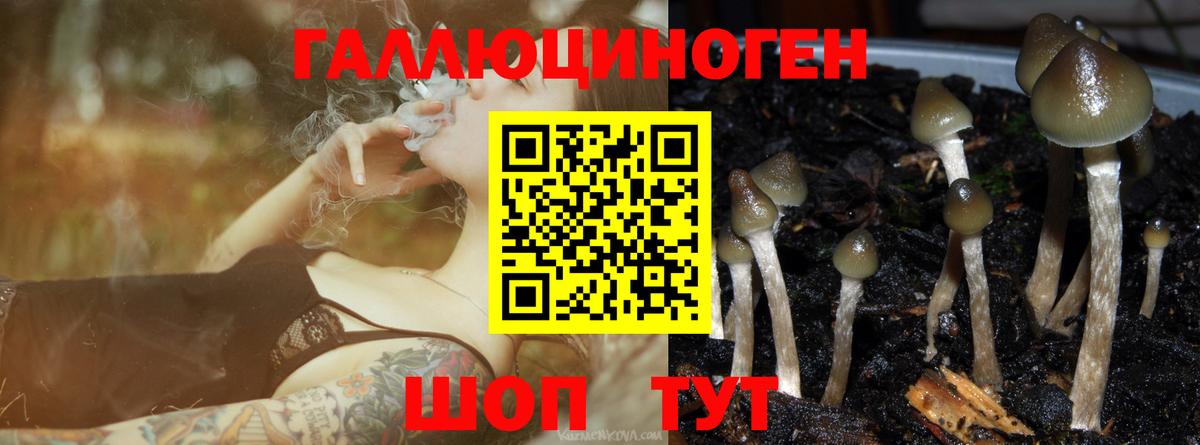 Люберцы  Галлюциногенные грибы ЛСД  Галлюциногенные грибы Cubensis  Вход с VPN 